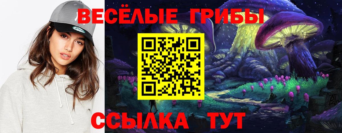 Галлюциногенные грибы Magic Shrooms  Вход с VPN  Железногорск 